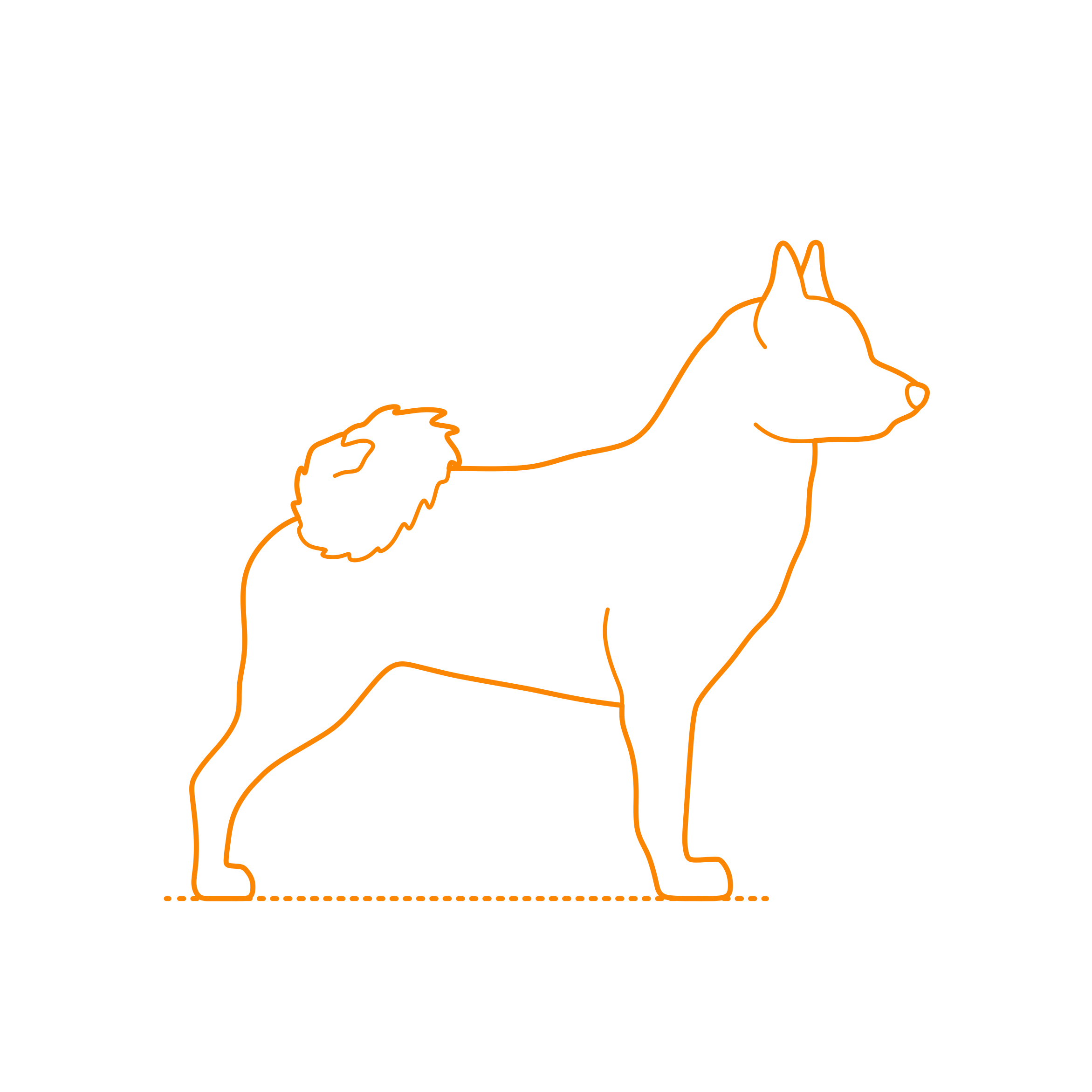 Animals Dogs Norwegian Buhund Contour Svg Vector Free Vectors